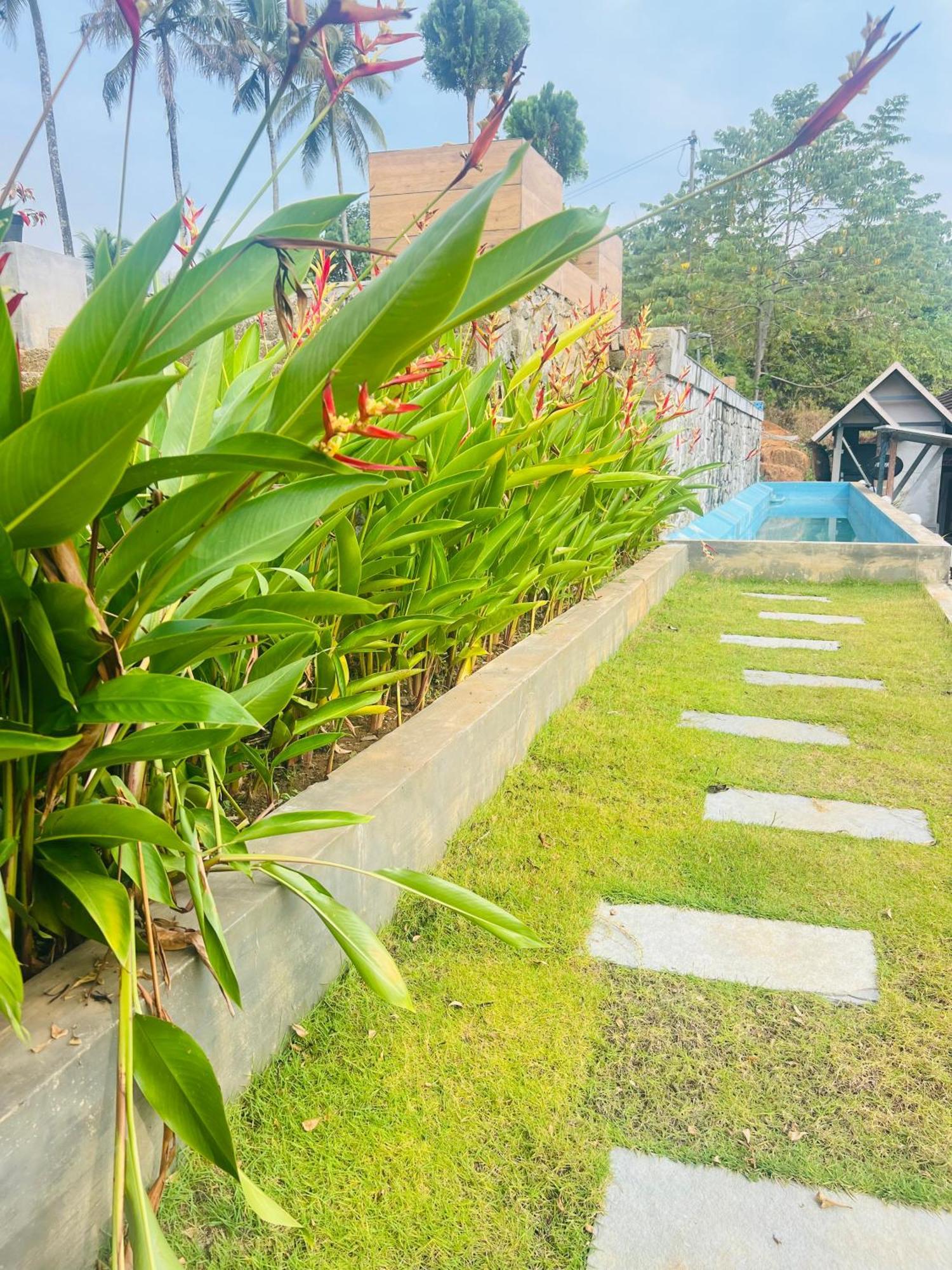 Coconut Valley Neriyamangalam Exterior foto